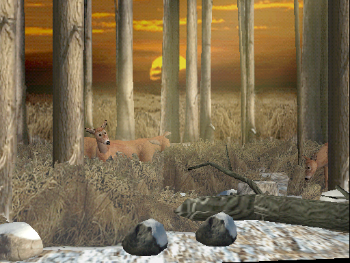 Big Buck Hunter 2