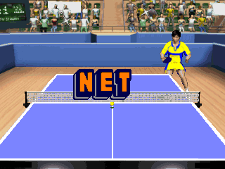 Interactive TV Games 49-in-1 Ping Pong