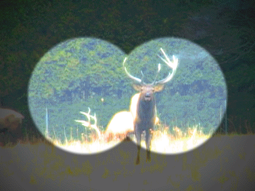 Big Buck Hunter 2006 Call of the Wild